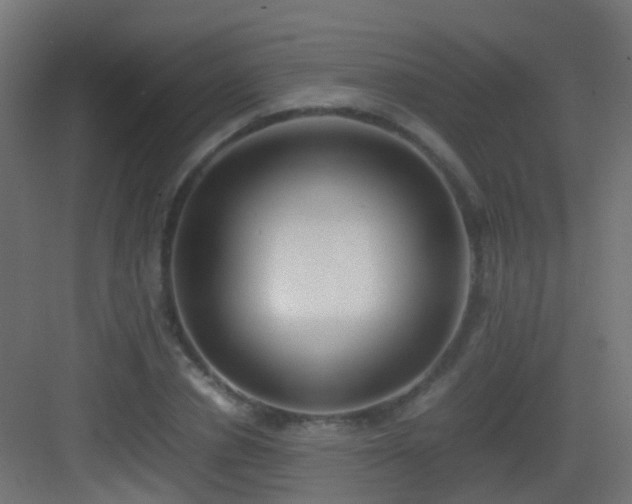 X0000083010834200702091248