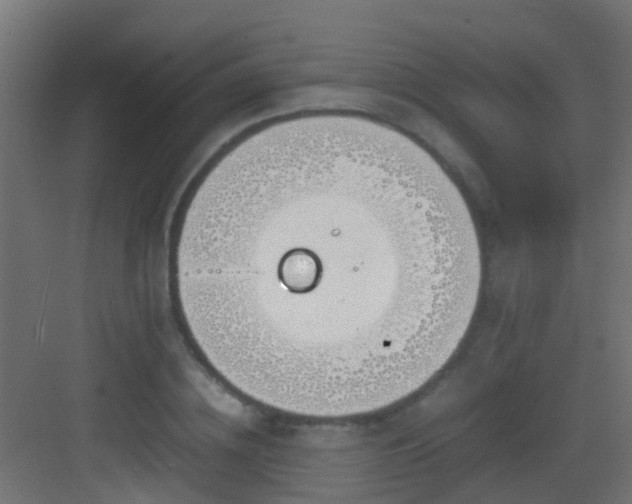 X0000083010836200702091248