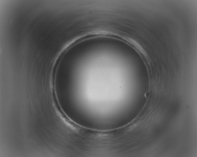 X0000083010839200702091248