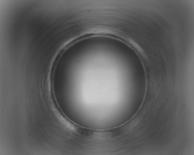 X0000083010840200702091248