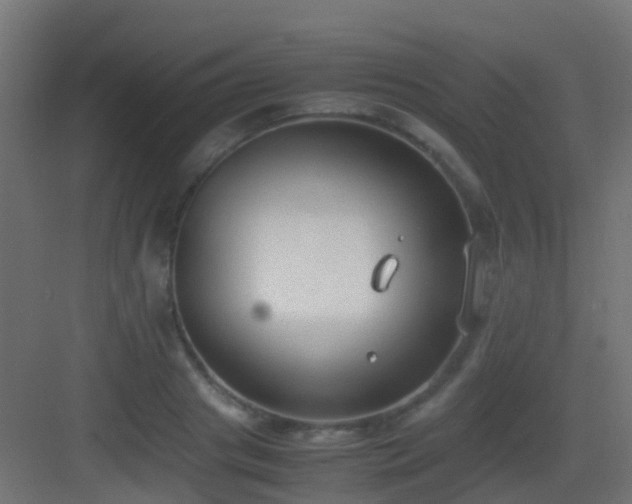 X0000083010841200702091248