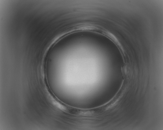 X0000083010843200702091248