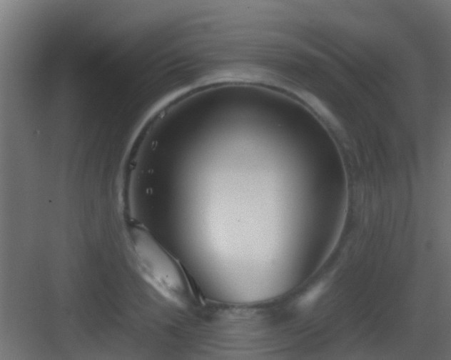 X0000083010846200702091248