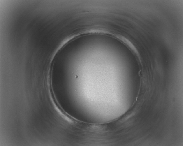 X0000083010847200702091249