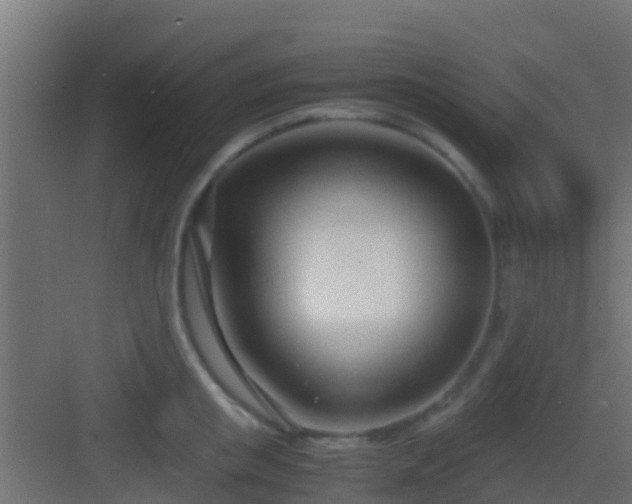 X0000083010853200702091249