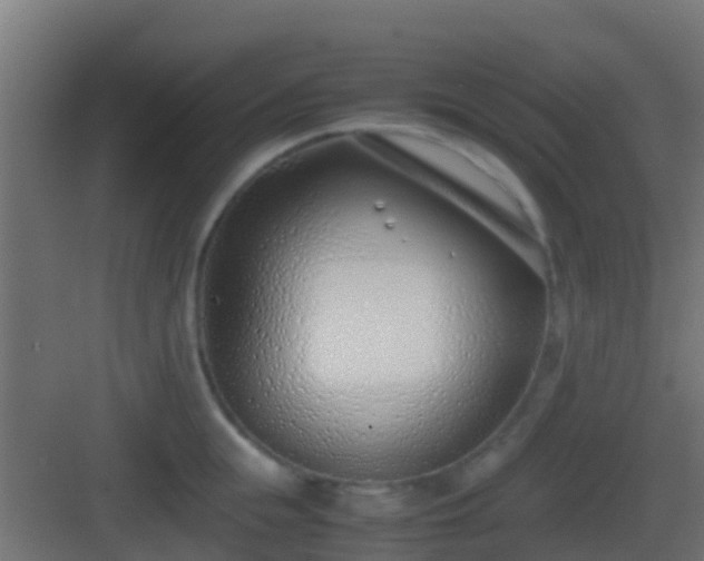 X0000083010855200702091249