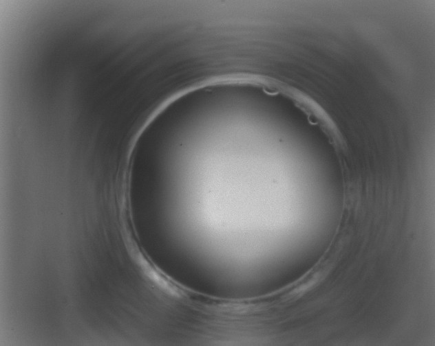 X0000083010860200702091249