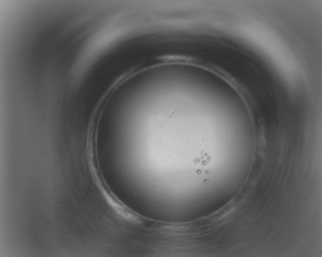 X0000083010861200702091249