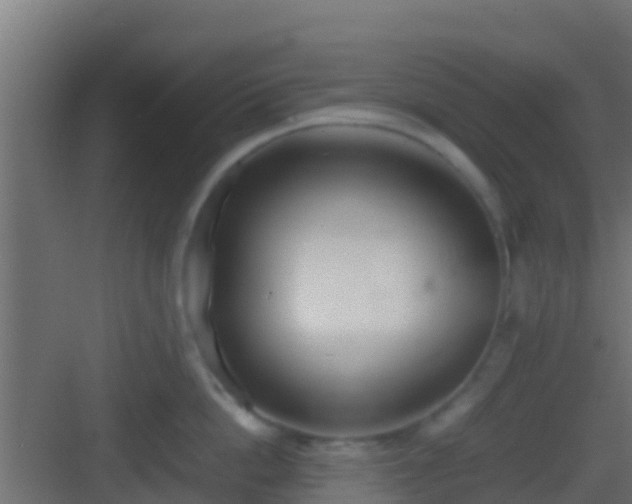 X0000083010862200702091249