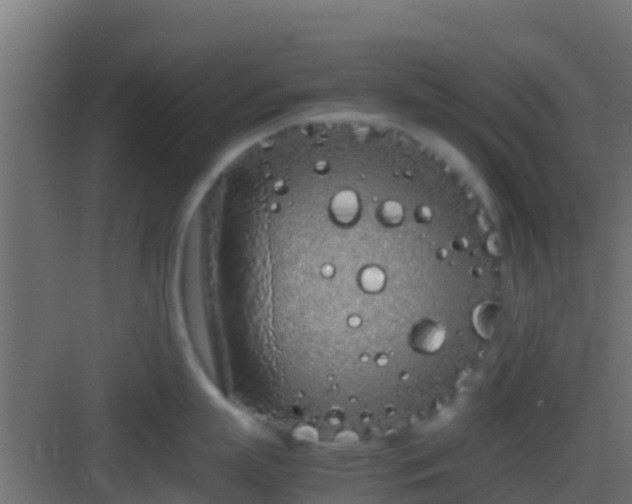 X0000083010863200702091249