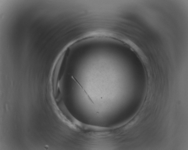 X0000083010864200702091249