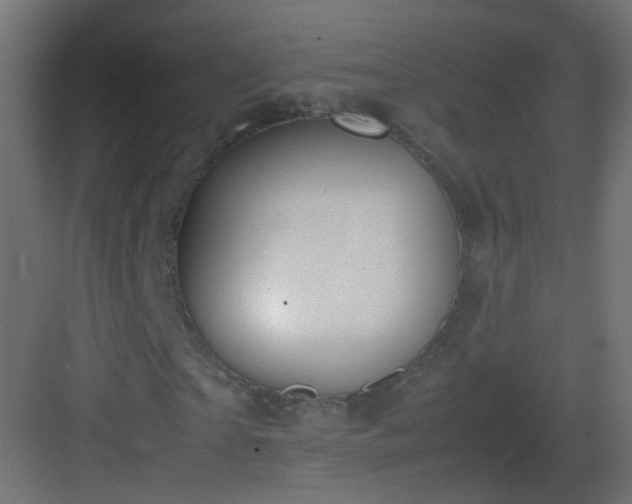 X0000083010865200702091248