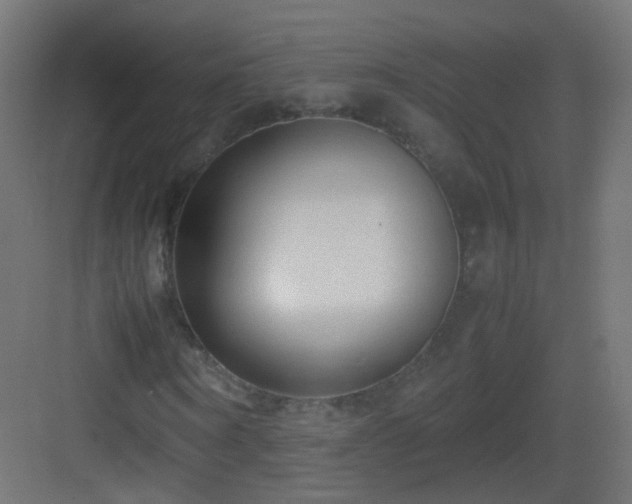 X0000083010866200702091248