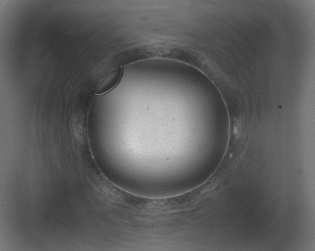 X0000083010867200702091248