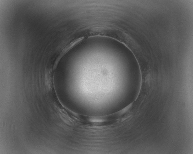 X0000083010868200702091248