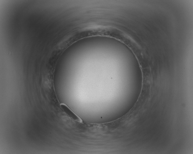 X0000083010869200702091248