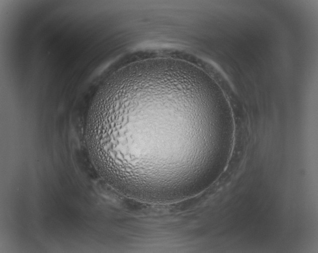 X0000083010871200702091248