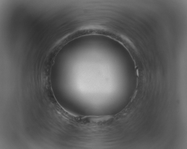 X0000083010872200702091248