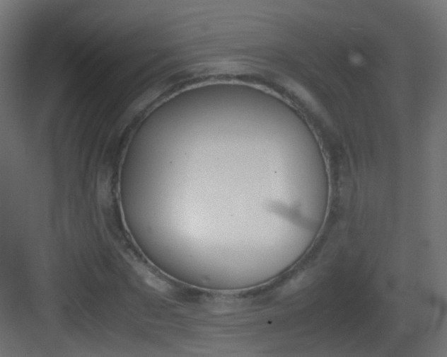 X0000083010873200702091248