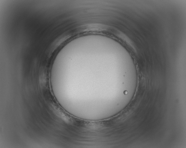 X0000083010874200702091248