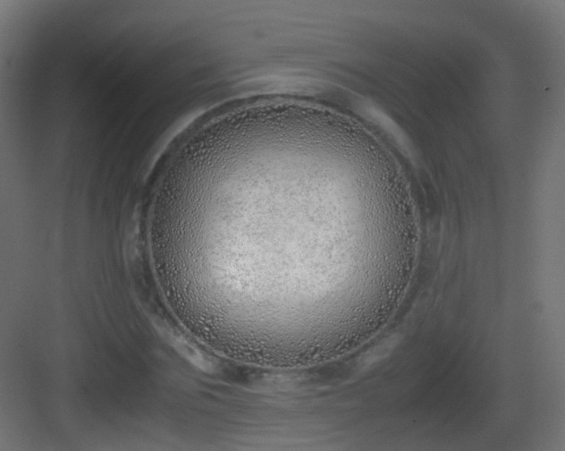 X0000083010875200702091248