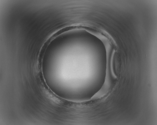 X0000083010876200702091248