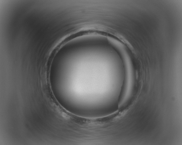 X0000083010877200702091248