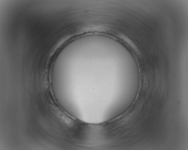 X0000083010878200702091248