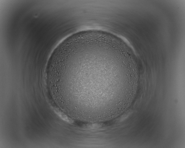 X0000083010879200702091248