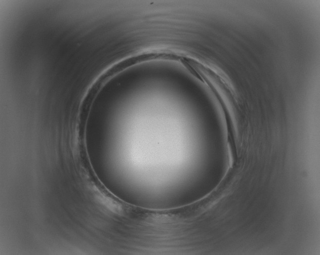 X0000083010880200702091248