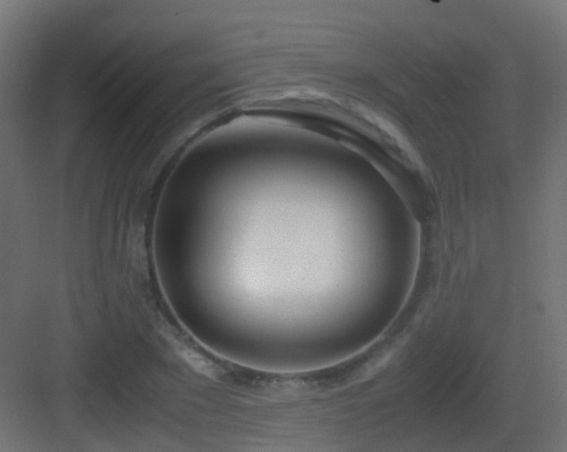 X0000083010881200702091248