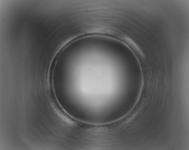 X0000083010884200702091248