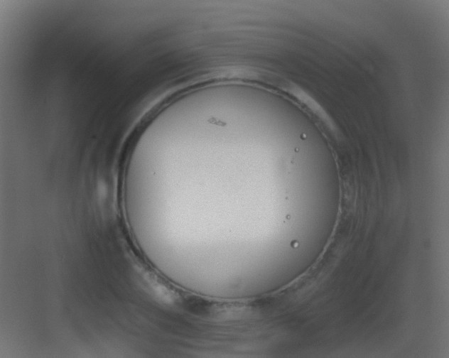 X0000083010886200702091248