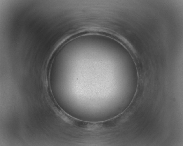 X0000083010887200702091248