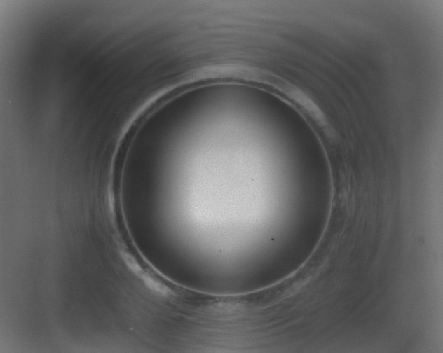 X0000083010888200702091248