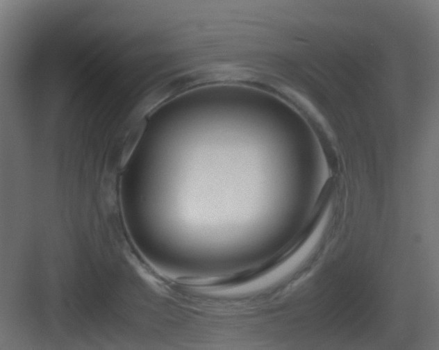 X0000083010889200702091248