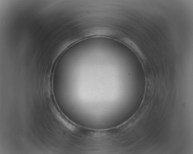 X0000083010890200702091248