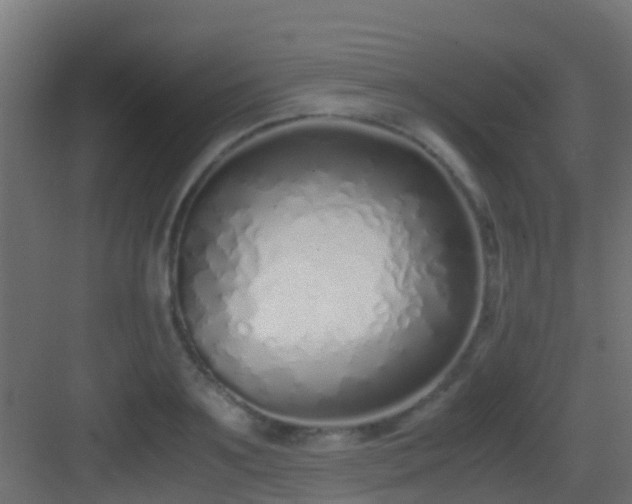 X0000083010891200702091248