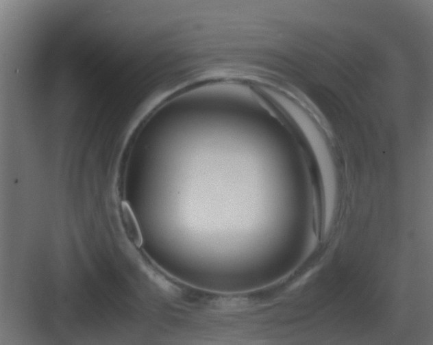 X0000083010893200702091248