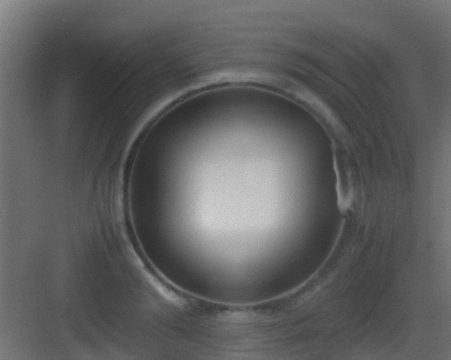 X0000083010894200702091247