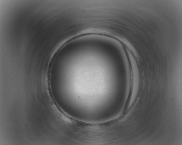 X0000083010896200702091247