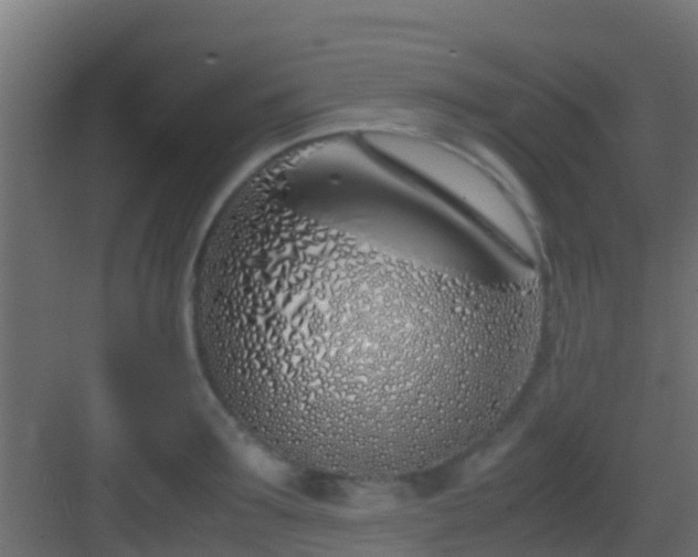 X0000083010899200702091247