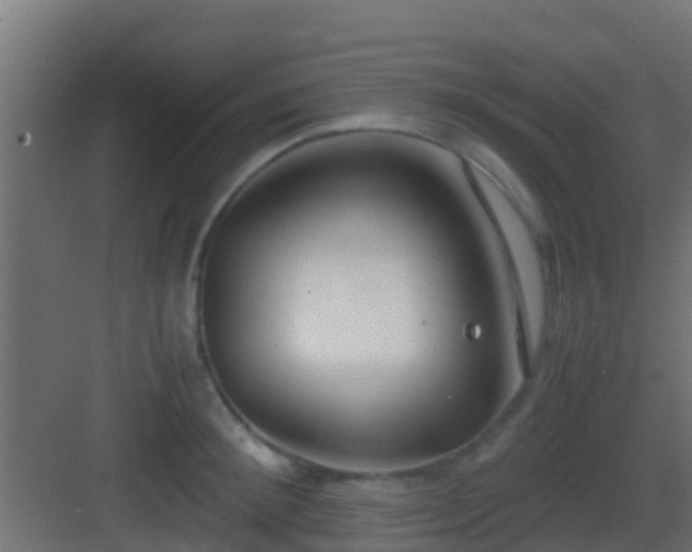 X0000083010900200702091247