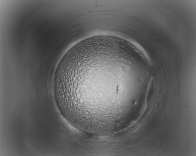 X0000083010903200702091247