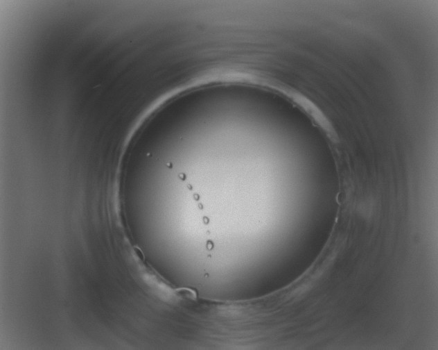 X0000083010904200702091247