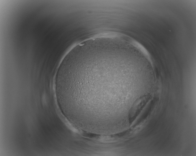 X0000083010907200702091247