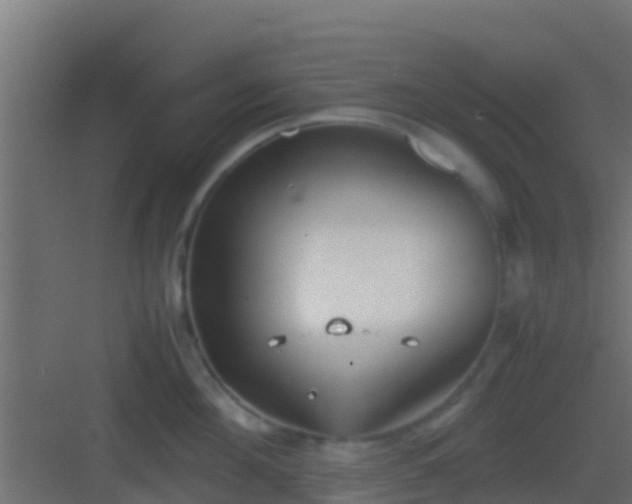 X0000083010908200702091247