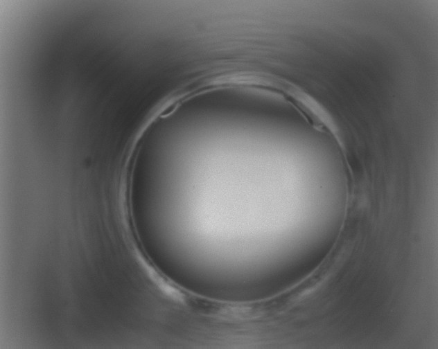 X0000083010909200702091247