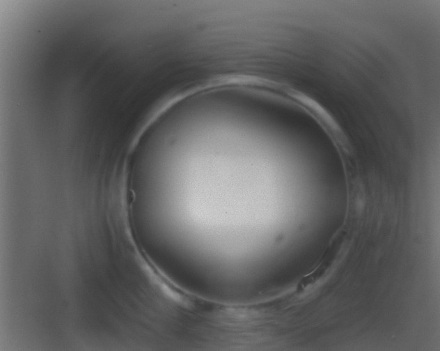 X0000083010910200702091247