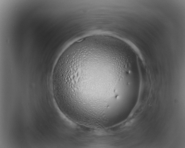 X0000083010911200702091247